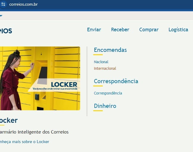 portal do importador